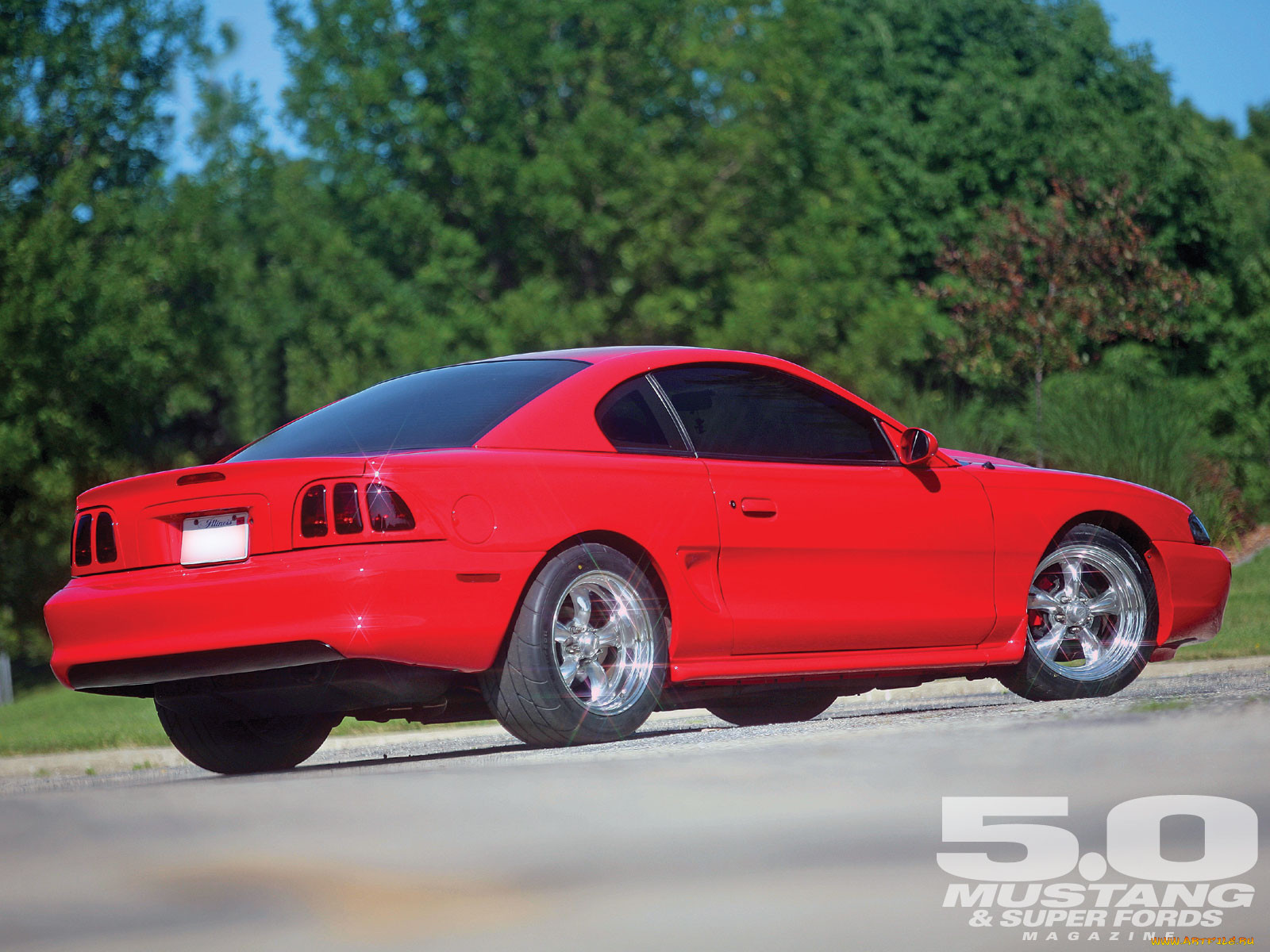 , mustang